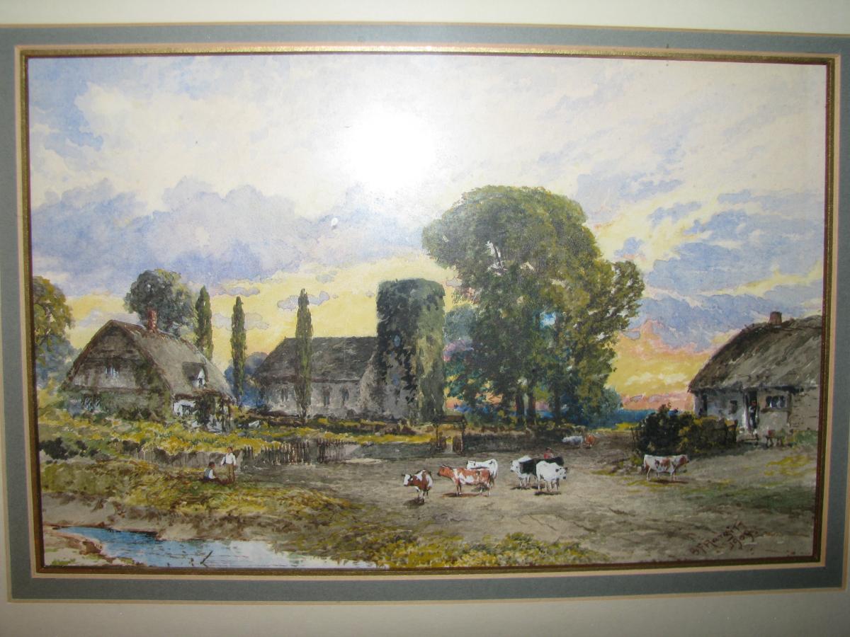 IMG 0264