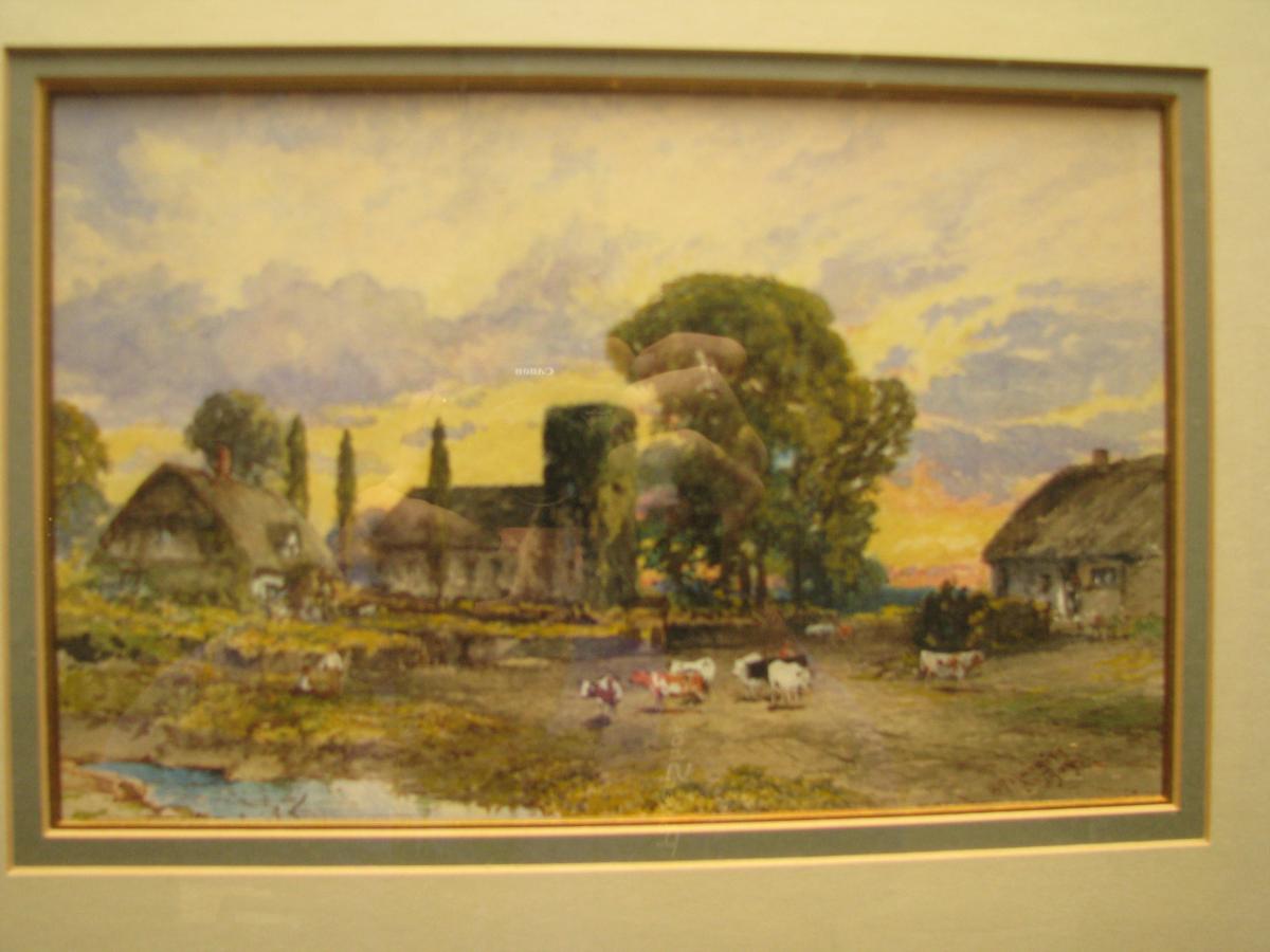 IMG 0275