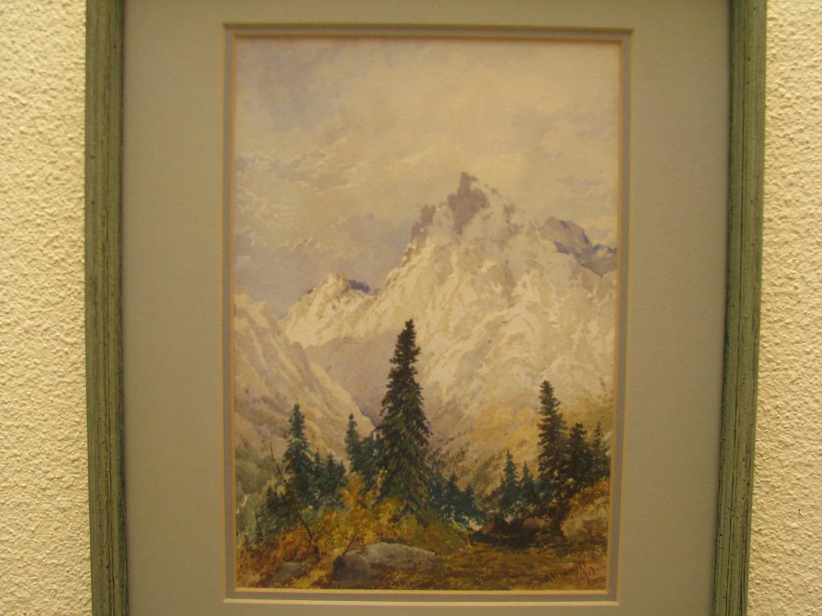 IMG 0279